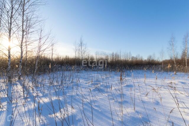 городской округ Тюмень, СНТ Березняки фото