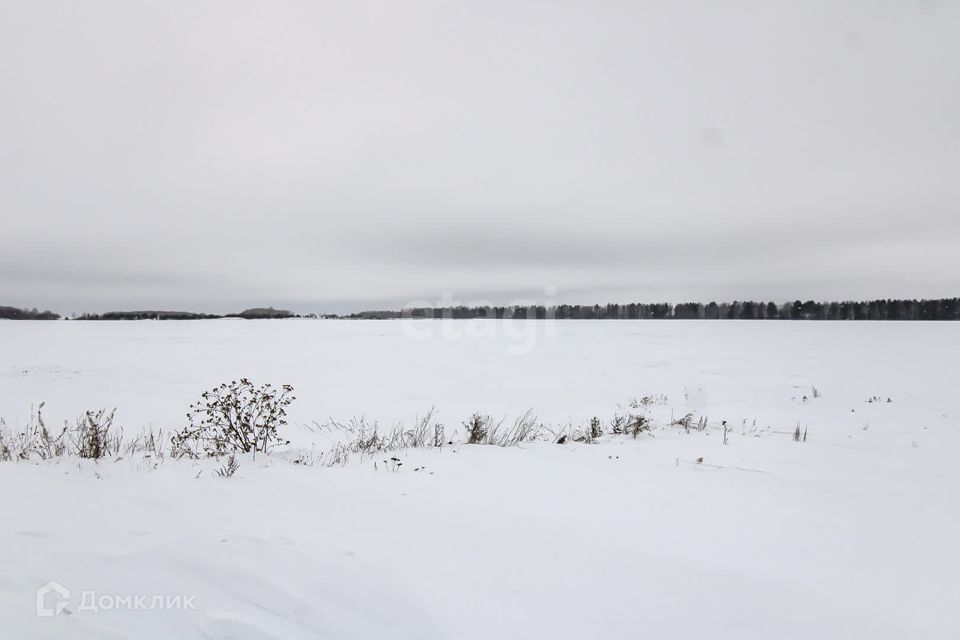 земля р-н Тюменский село Каменка фото 1