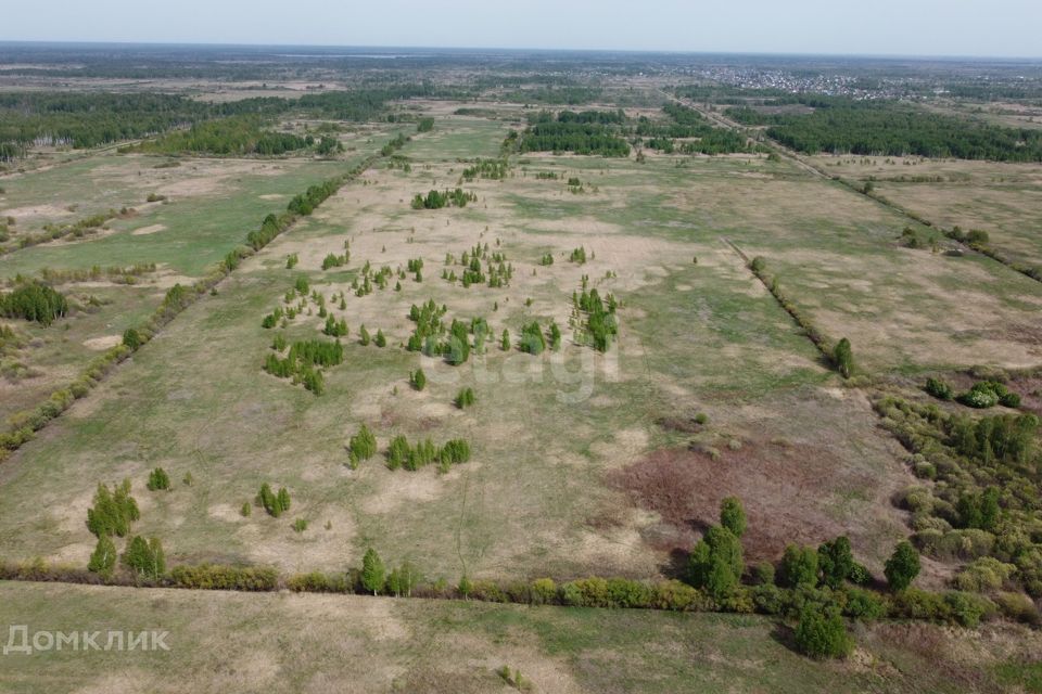 земля г Тюмень городской округ Тюмень, садовое товарищество Лаванда фото 1