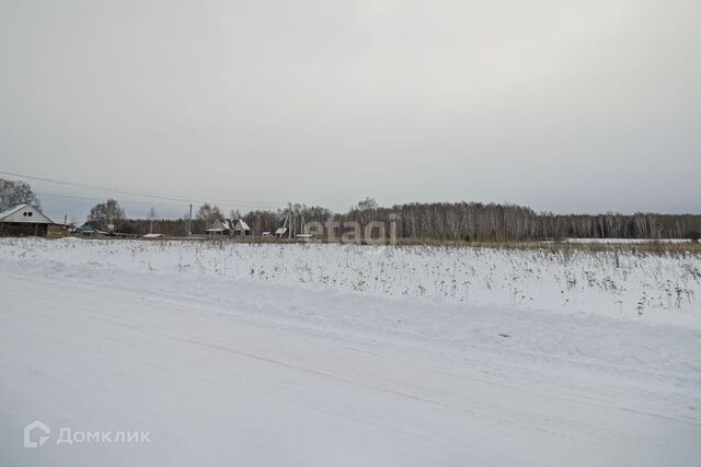 село Кулига фото