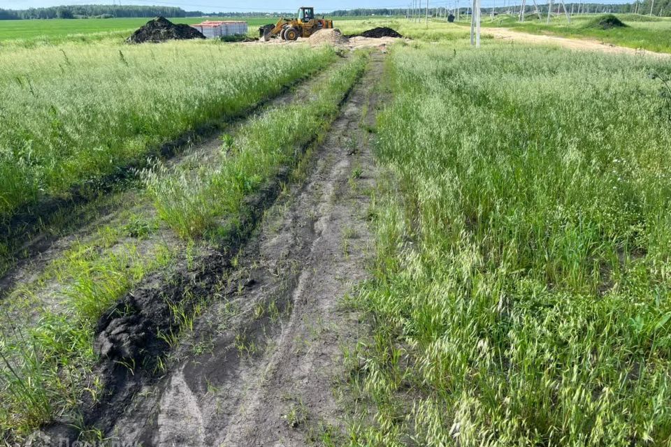 земля р-н Череповецкий село Воскресенское фото 1