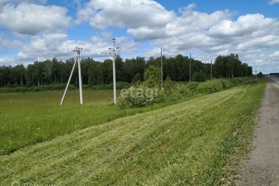 земля р-н Тюменский село Червишево фото 1