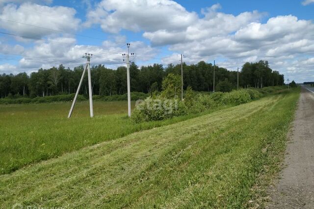 село Червишево фото