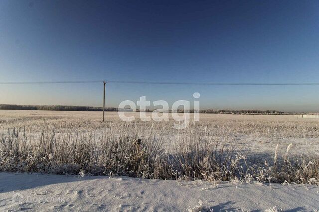 Каменское кладбище фото