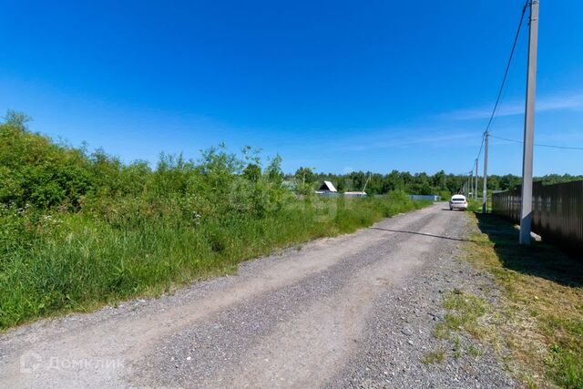 снт Виктория-1 городской округ Тюмень фото