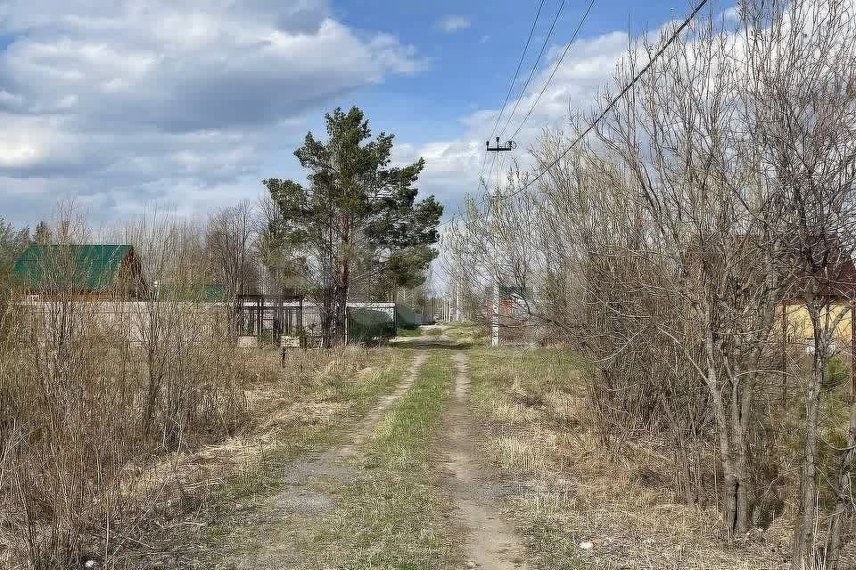 земля р-н Нижнетавдинский СТ Здоровье-3 фото 1