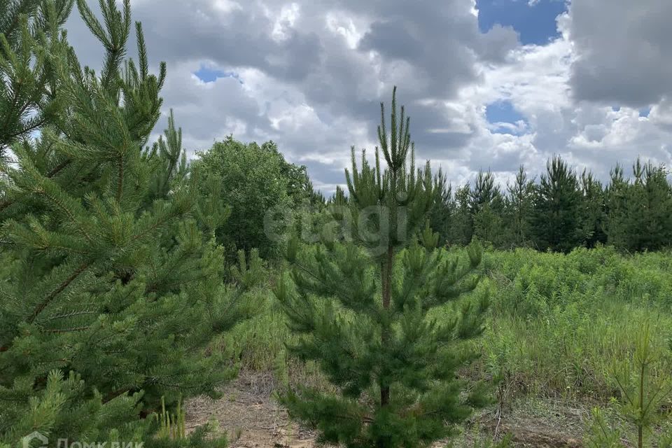 земля р-н Нижнетавдинский деревня Московка фото 1