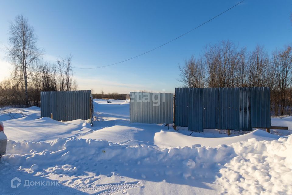 земля г Тюмень городской округ Тюмень, СНТ Березняки фото 3