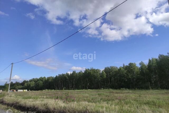 ул Олега Антонова городской округ Тюмень фото