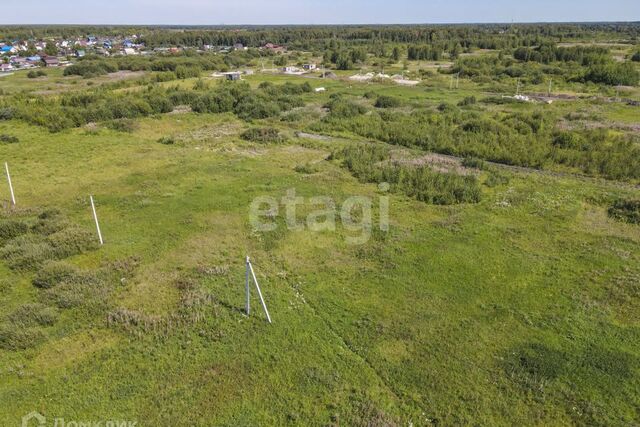 ул Дружбы городской округ Тюмень фото