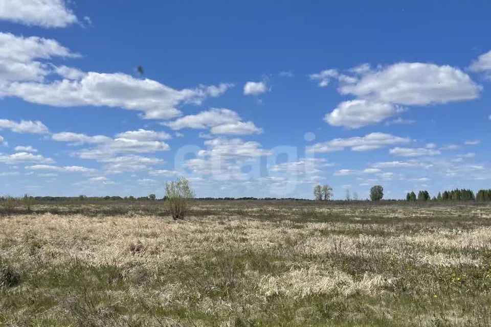 земля р-н Тюменский ДПК Новокаменский, Коттеджный посёлок Новокаменский фото 3