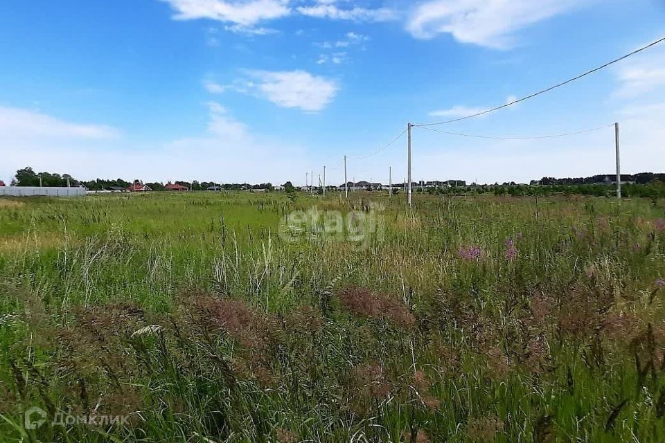 земля р-н Тюменский д Посохова ул Сосновая фото 3