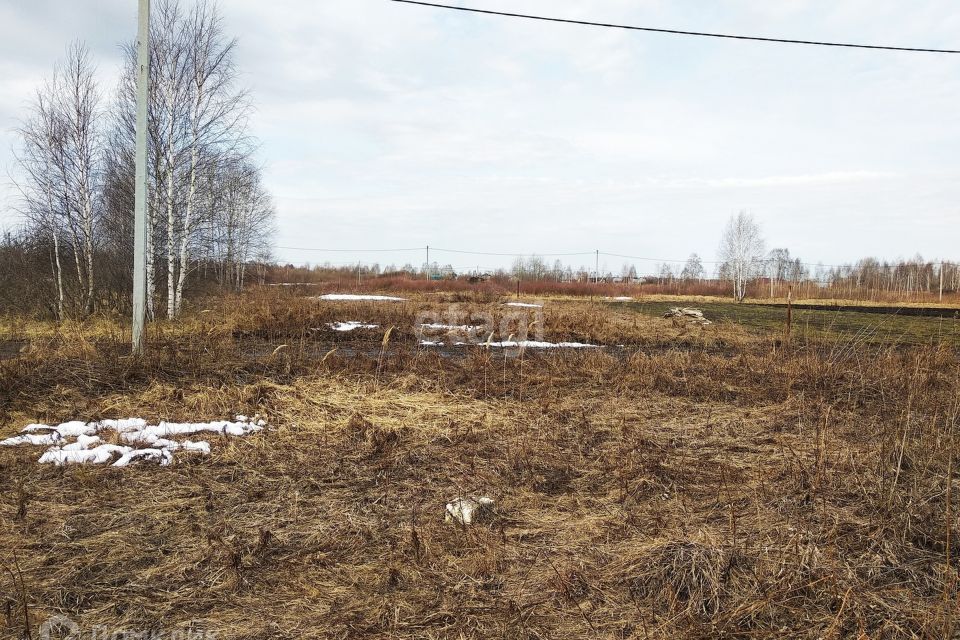 земля г Тюмень городской округ Тюмень, СО Зелёный бор фото 2