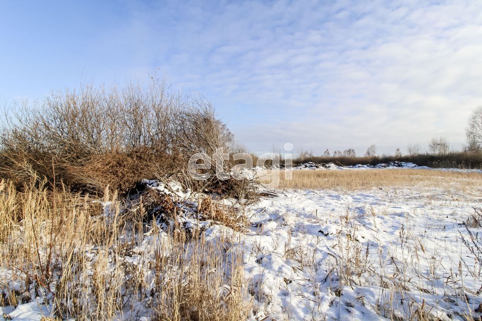 земля г Тюмень городской округ Тюмень, садовое товарищество Поле Чудес фото 1