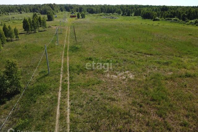 р-н Нижнетавдинский ДНП Журавли фото