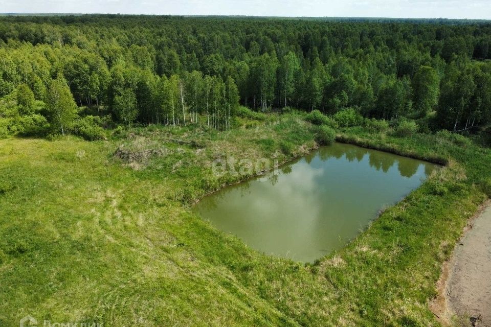 земля р-н Нижнетавдинский ДНП Журавли, Липовая улица фото 1