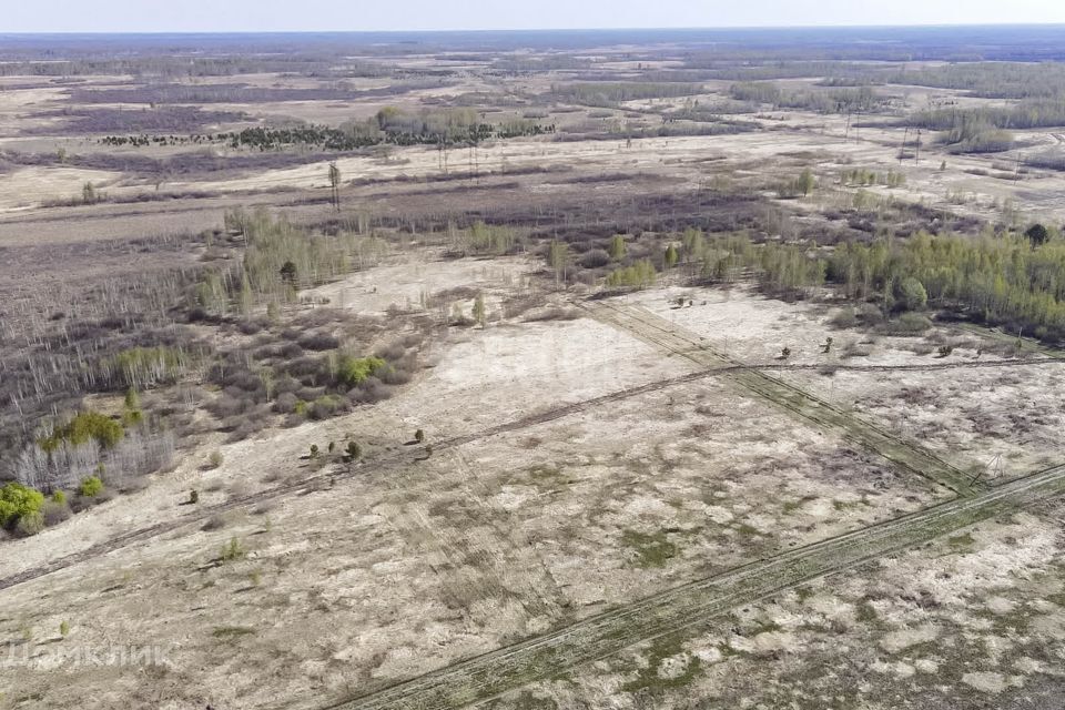 земля р-н Тюменский село Борки фото 1