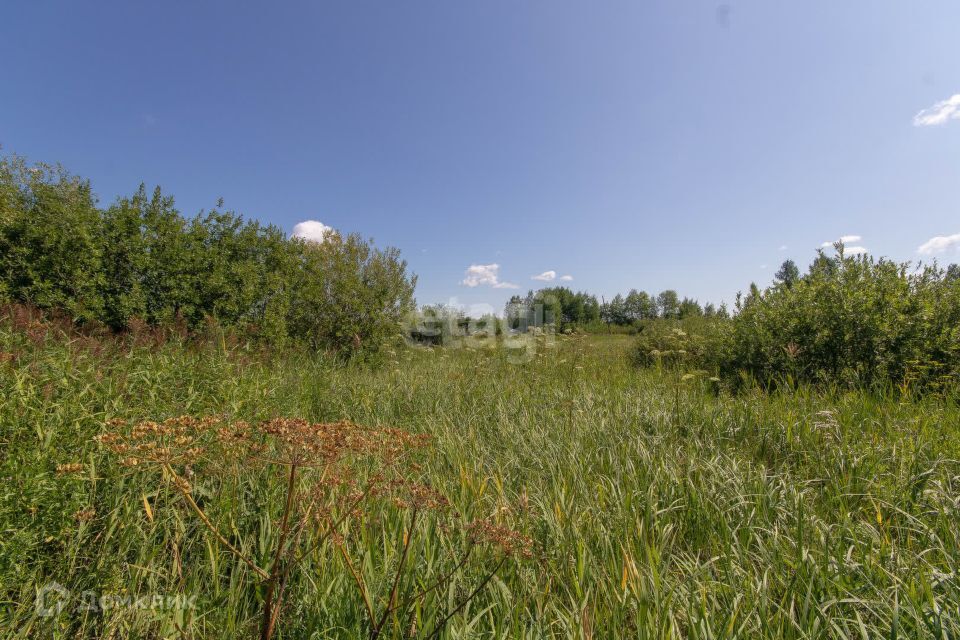 земля г Тюмень снт Светлячок городской округ Тюмень, 8-я улица фото 1