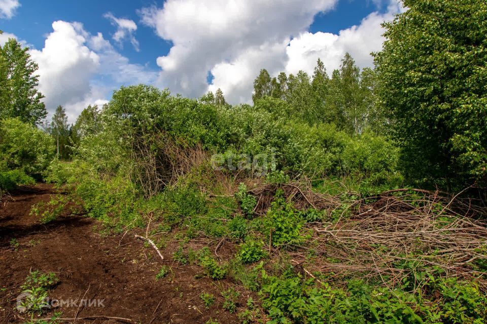 земля р-н Нижнетавдинский СТ Здоровье-3 фото 1