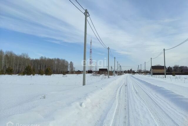 Усть-Ницинское сельское поселение, село Липчинское фото