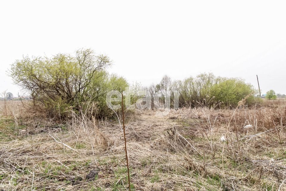 земля р-н Нижнетавдинский с Велижаны ул Первомайская фото 1