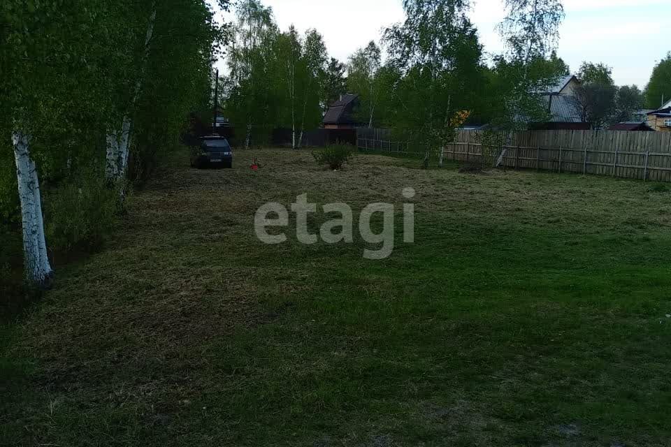 земля г Ишим снт Медик ул Лесная городской округ Тюмень фото 1