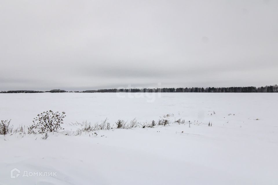 земля р-н Тюменский село Каменка фото 2