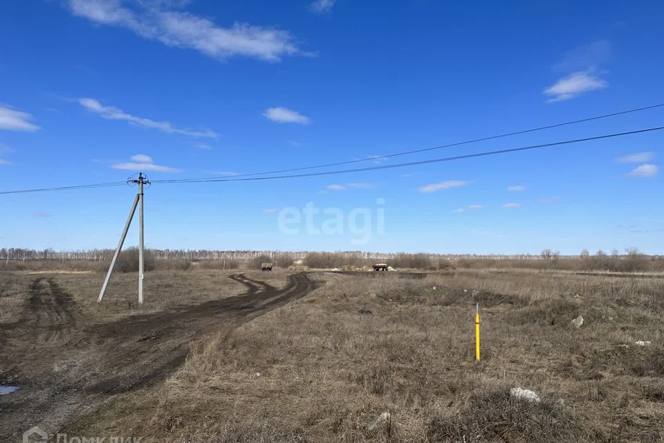 земля р-н Тюменский деревня Нариманова фото 3