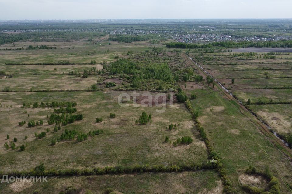 земля г Тюмень городской округ Тюмень, садовое товарищество Лаванда фото 2