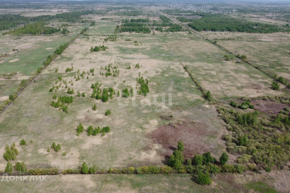 земля г Тюмень городской округ Тюмень, садовое товарищество Лаванда фото 2