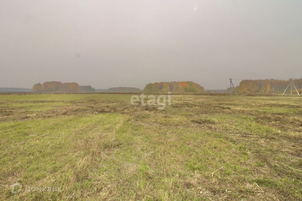 земля р-н Тюменский село Горьковка фото 3