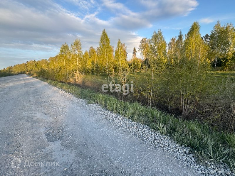 земля р-н Тюменский поселок Подъем фото 4