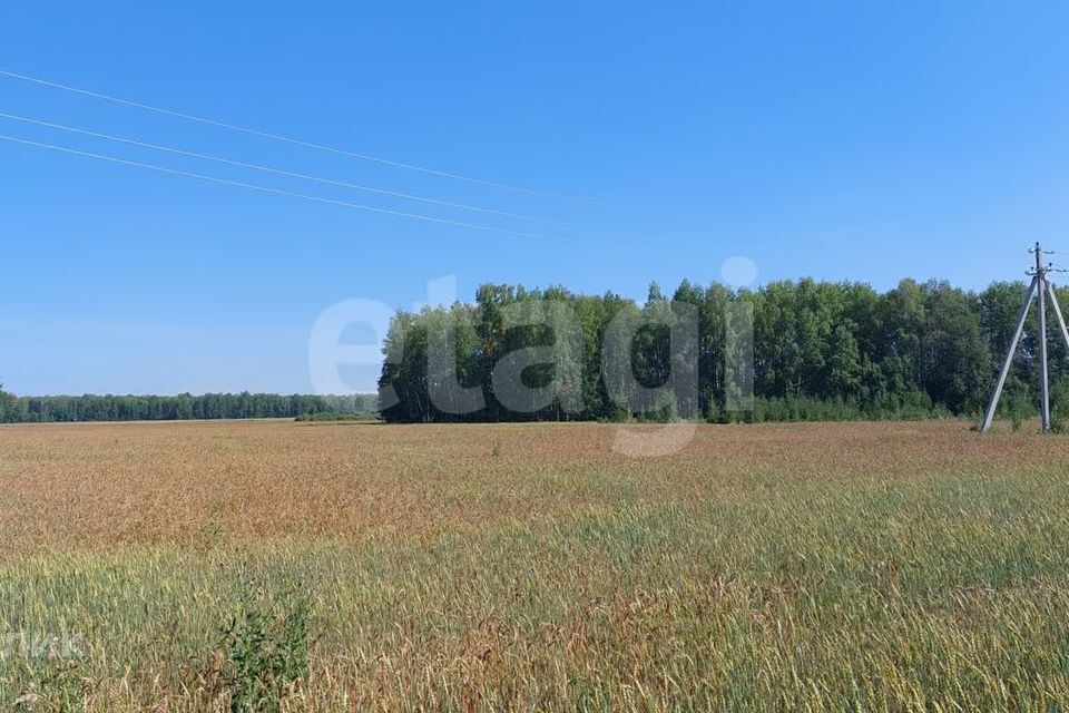 земля р-н Тюменский с Горьковка ул Садовая фото 4