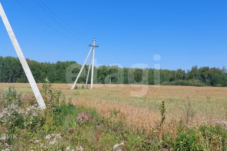 земля р-н Тюменский с Горьковка ул Садовая фото 3