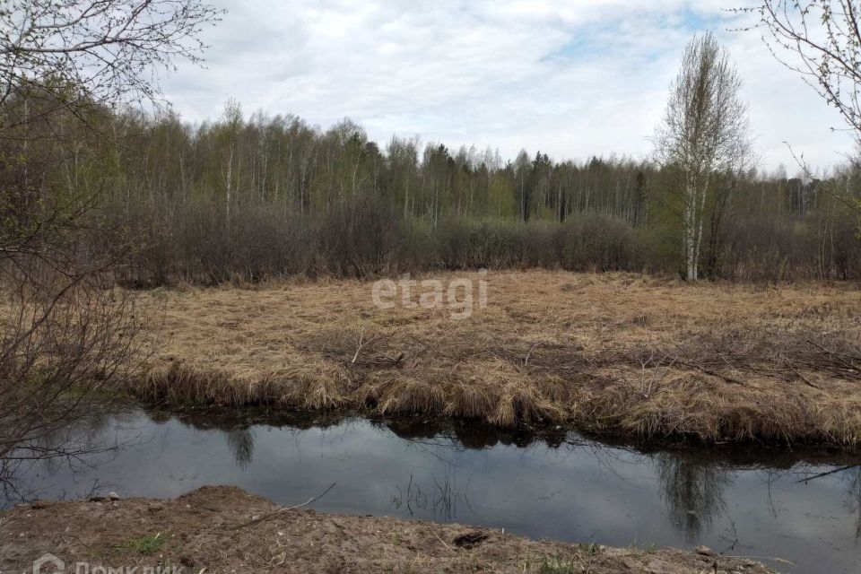 земля р-н Тюменский снт Архитектор ул Сосновая фото 3