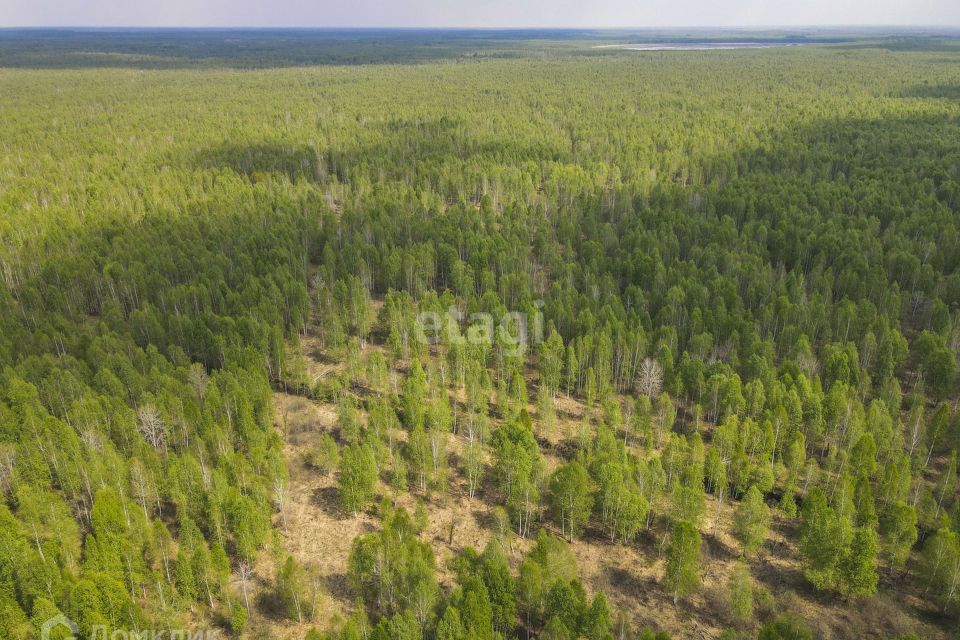 земля р-н Нижнетавдинский садоводческое некоммерческое товарищество Разбахта фото 2