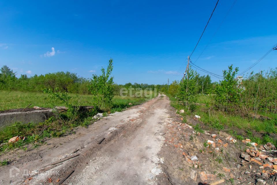 земля г Тюмень снт Поляна ул Длинная городской округ Тюмень фото 4