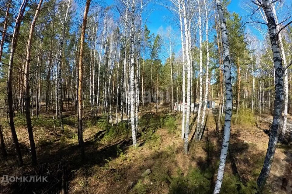 земля р-н Тюменский рп Боровский ул Новая Озерная сельское поселение Боровский фото 4