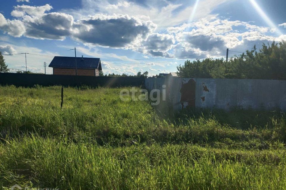 земля р-н Тюменский д Молчанова ул Советская Новотарманское сельское поселение фото 3