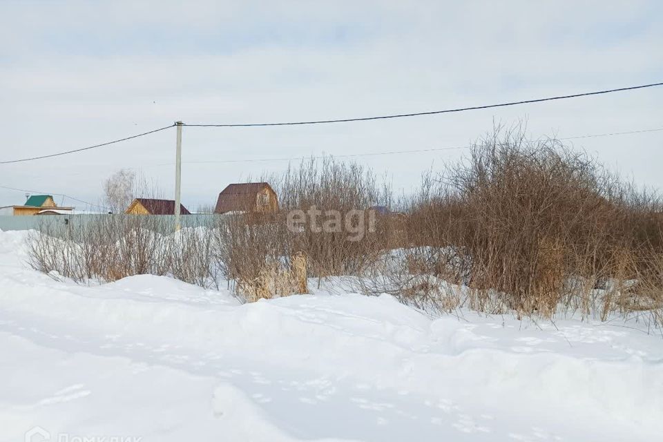 земля р-н Тюменский с Каскара ул Энтузиастов Каскаринское сельское поселение фото 4