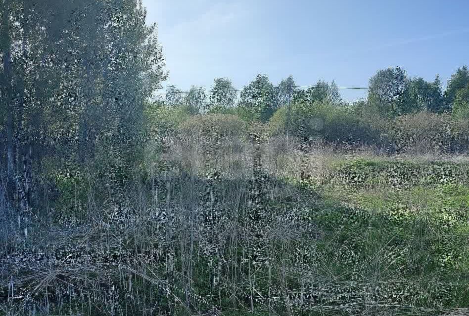 земля р-н Нижнетавдинский садоводческое товарищество У Сосны фото 4