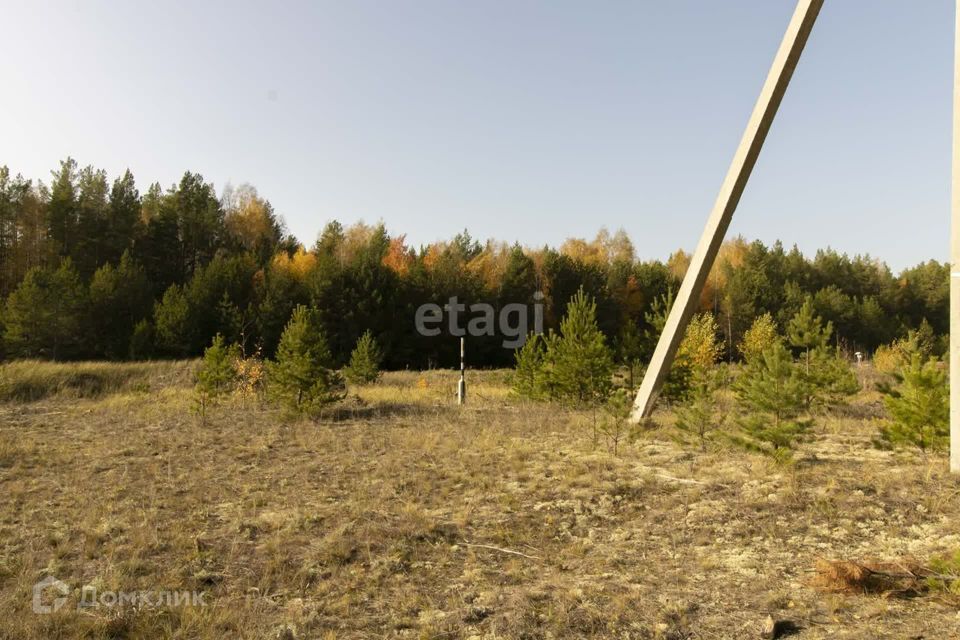 земля р-н Тюменский село Мальково фото 4