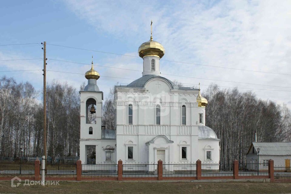 земля р-н Ярковский с Новокаишкуль ул Южная фото 4