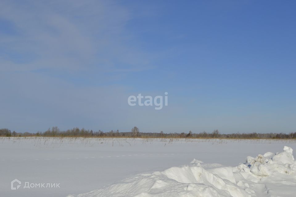 земля р-н Слободо-Туринский село Туринская Слобода фото 4