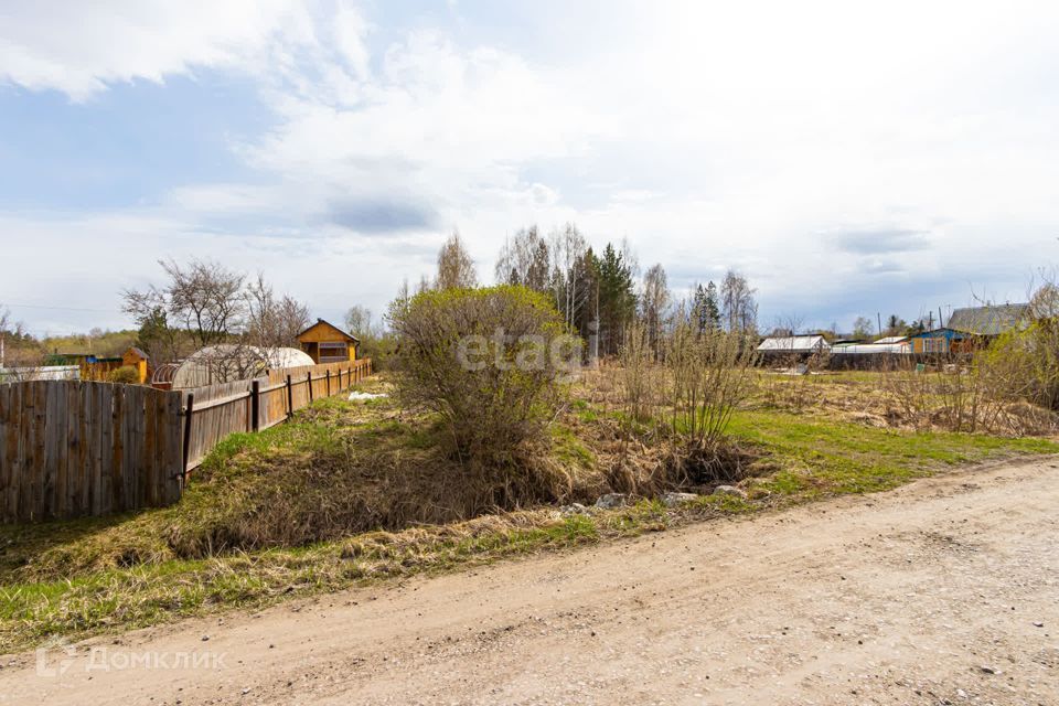 земля р-н Тюменский снт Нива ул Центральная фото 3