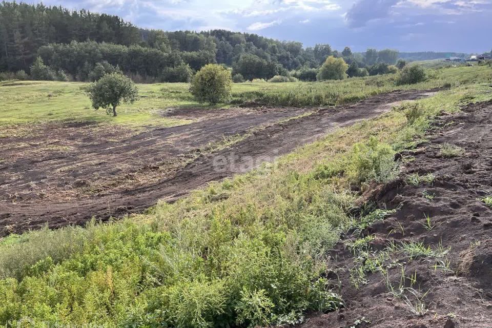 земля р-н Исетский деревня Батени фото 3