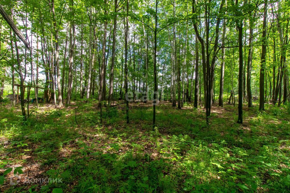 земля р-н Нижнетавдинский с Тюнево ул Урожайная фото 3