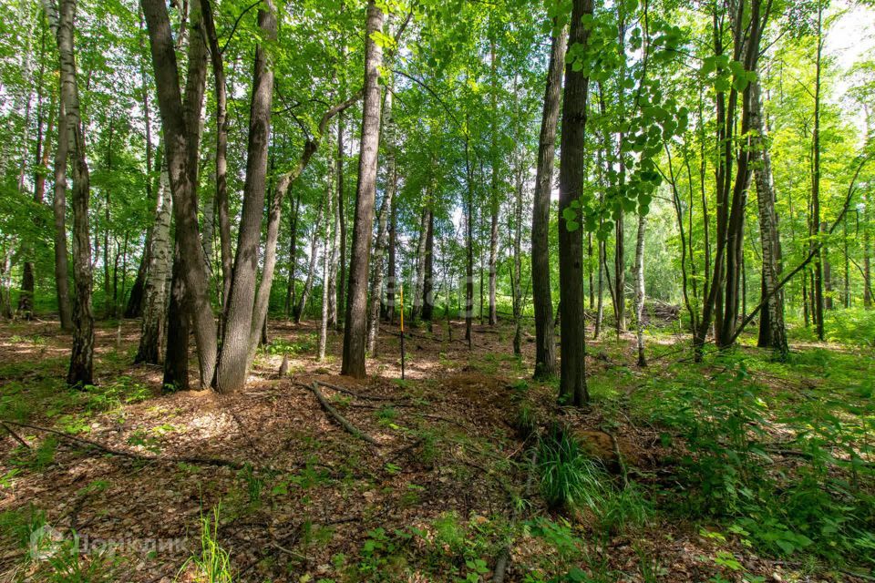 земля р-н Нижнетавдинский с Тюнево ул Урожайная фото 4