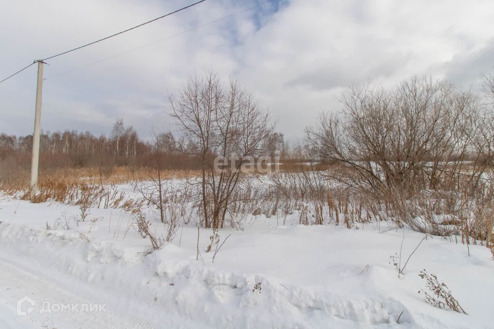 земля городской округ Тюмень, садовое товарищество Поле Чудес, Западная улица фото 4