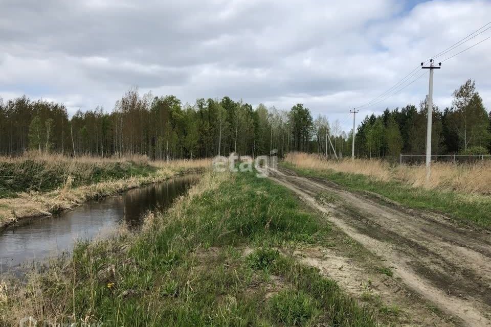 земля р-н Нижнетавдинский ДНП Журавли фото 4